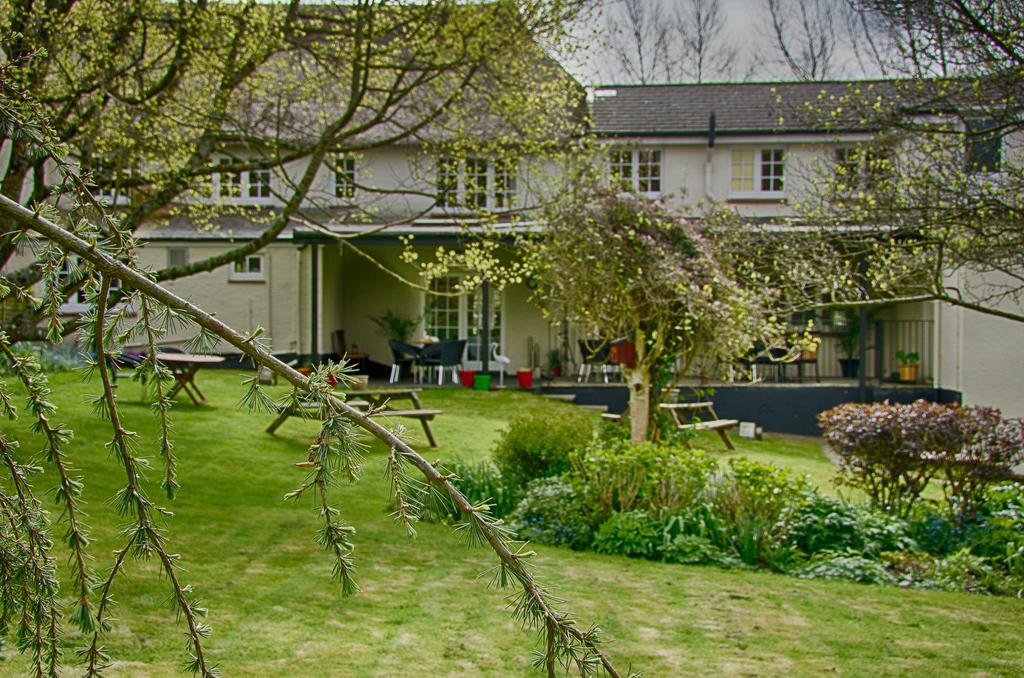 Tumbling Weir Hotel Ottery St Mary Ngoại thất bức ảnh