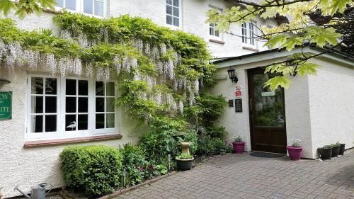 Tumbling Weir Hotel Ottery St Mary Ngoại thất bức ảnh